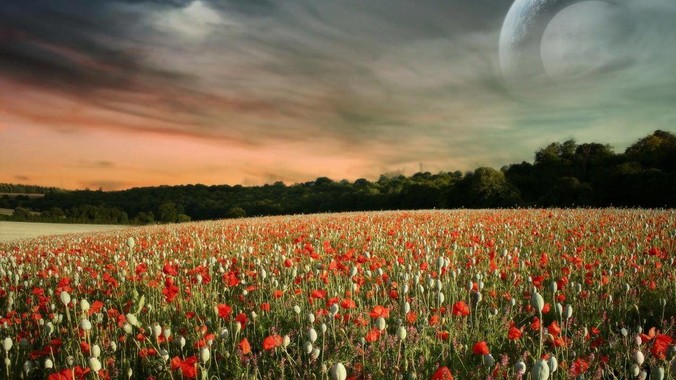 TVB 演员陈慧珊转行当英语老师，称已拿博士学位，如何看待她的选择？为什么这么多 TVB 演员转行？